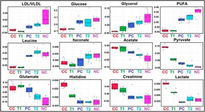 Preclinical Evaluation of Dimethyl Itaconate Against Hepatocellular Carcinoma via Activation of the e/iNOS-Mediated NF-κB–Dependent Apoptotic Pathway